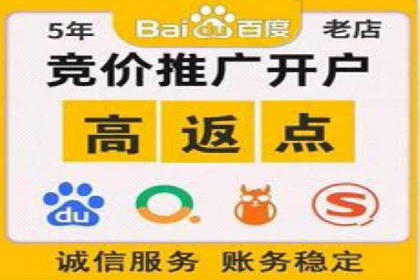 百度推广的投放策略与效果分析